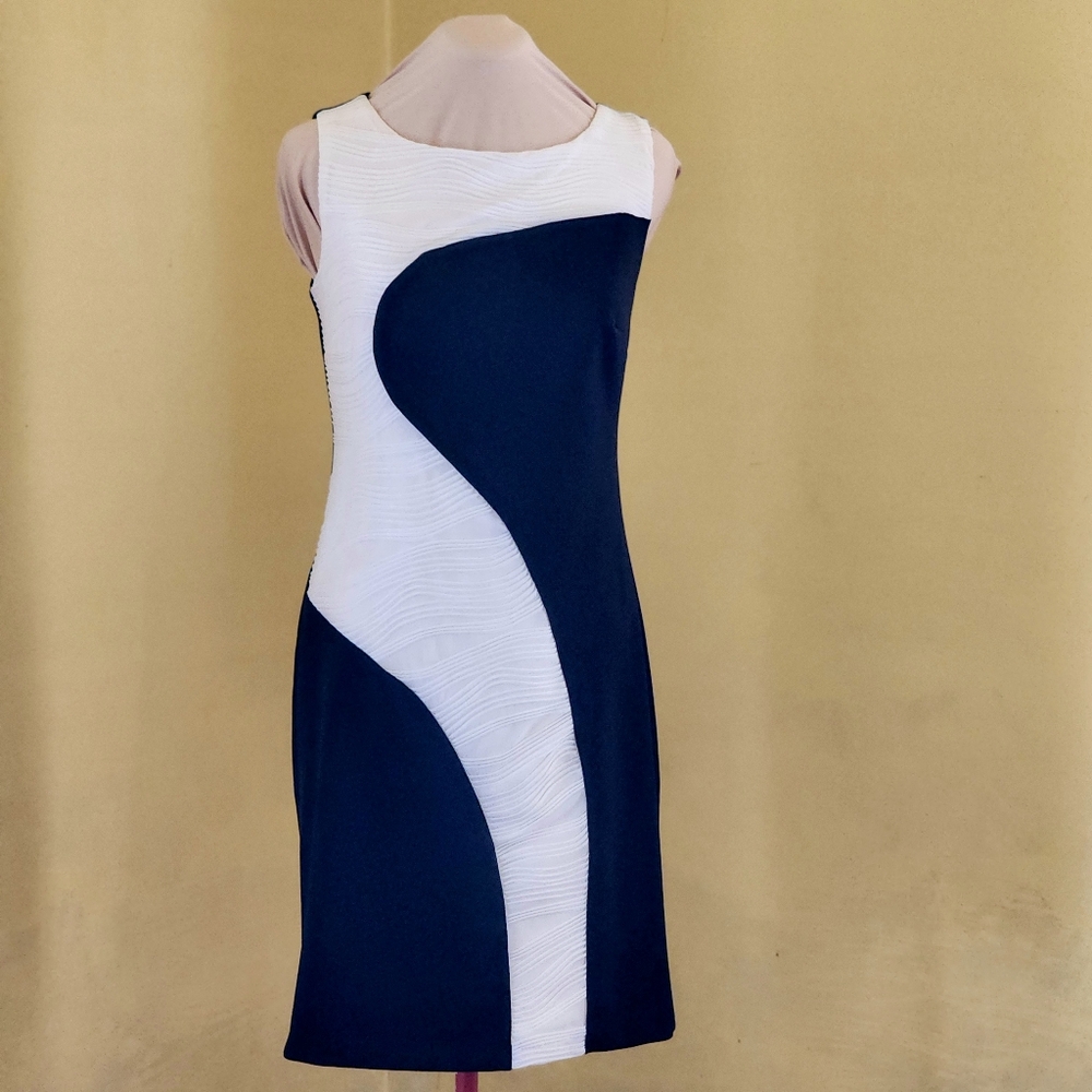 EUC Valerie Bertinelli, Sleeveless Scoop-neck Dress, Black & White, Si…